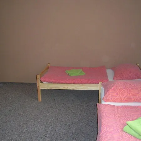 Guest house Ve Dvore 3*
