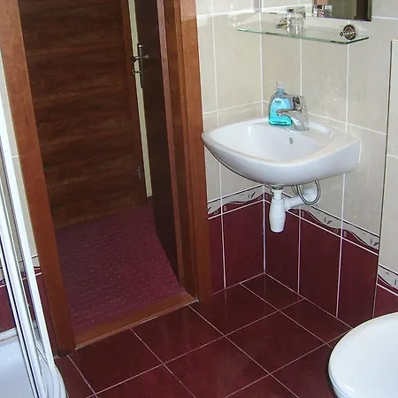 Guest house Ve Dvore