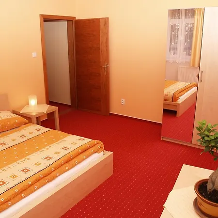 Guest house Ve Dvore 3*